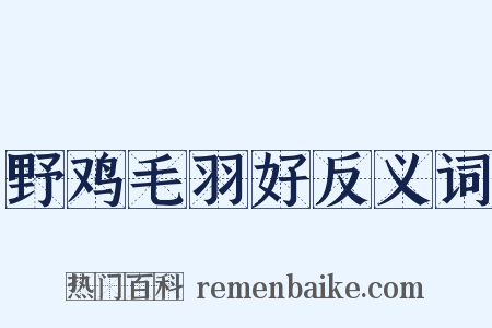 野鸡毛羽好反义词是什么意思的图片